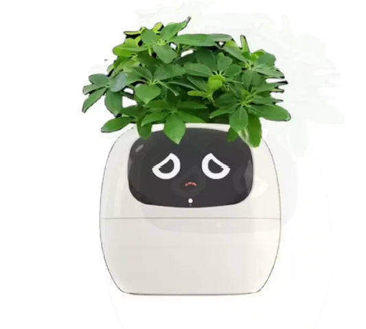 Smart Flowerpots,Smart Pet Planter